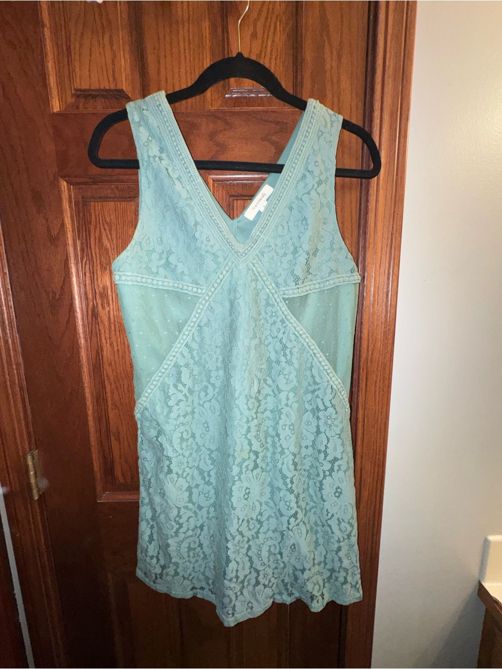 Francesca's Collections Mint Lace V-Neck Dress